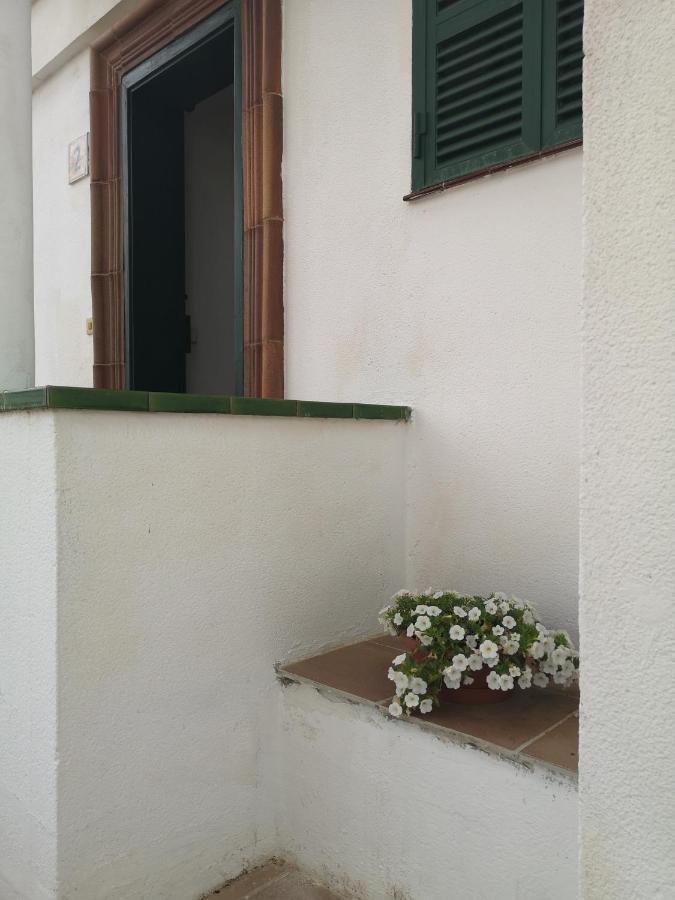 Toni'S Apartament Menorca Cala'N Bosch  Extérieur photo